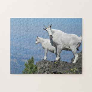 Mountain Goats White Wildlife Photo Jigsaw Puzzle