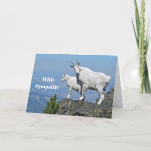 Mountain Goats White Wildlife Photo Sympathy Card