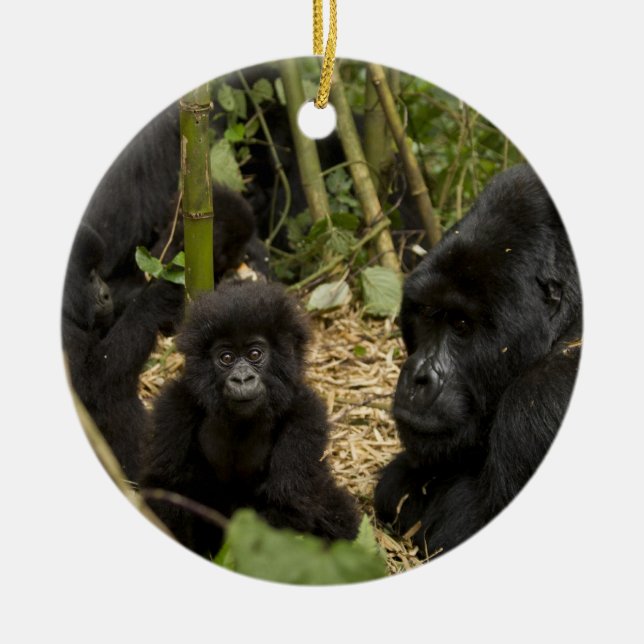 Mountain Gorilla, adult with young Ceramic Ornament (Front)