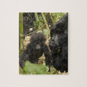 Mountain Gorilla, adult with young Jigsaw Puzzle