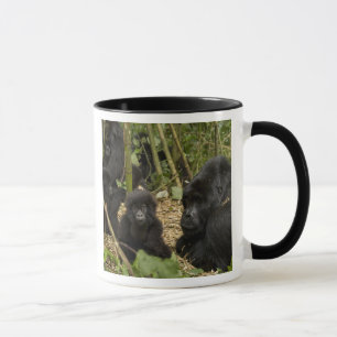 Mountain Gorilla, adult with young Mug