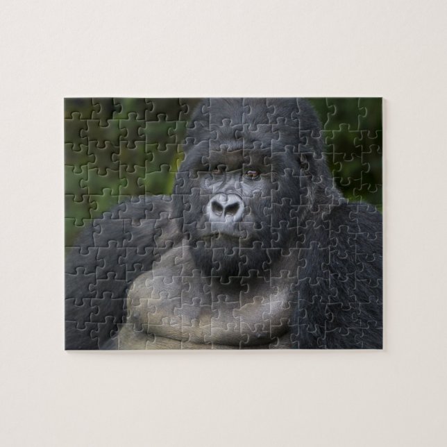 Mountain Gorilla and Silverback Jigsaw Puzzle (Horizontal)