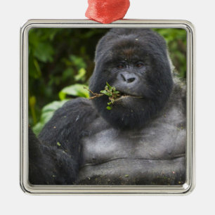 Mountain Gorilla and Silverback Metal Ornament