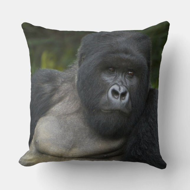 Mountain Gorilla and Silverback Throw Pillow (Front)
