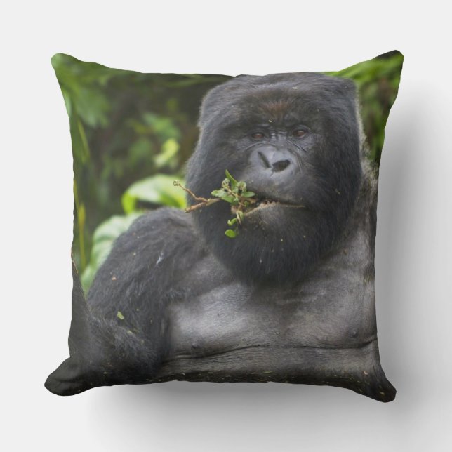 Mountain Gorilla and Silverback Throw Pillow (Front)