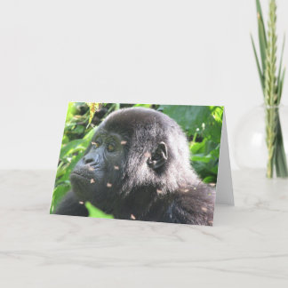 Mountain Gorilla Card