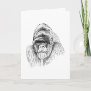 Mountain Gorilla étude Carte d'anniversaire