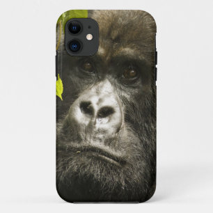 Mountain Gorilla, Gorilla beringei beringei, iPhone 11 Case