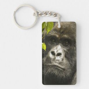 Mountain Gorilla, Gorilla beringei beringei, Keychain