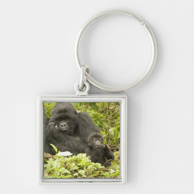 Mountain Gorilla, Gorilla beringei (formerly G. Keychain (Front)
