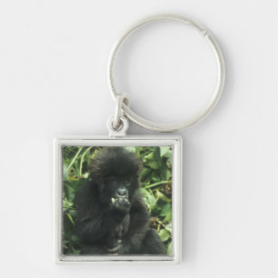 Mountain Gorilla, (Gorilla gorilla beringei), Keychain