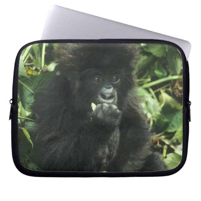 Mountain Gorilla, (Gorilla gorilla beringei), Laptop Sleeve (Front)