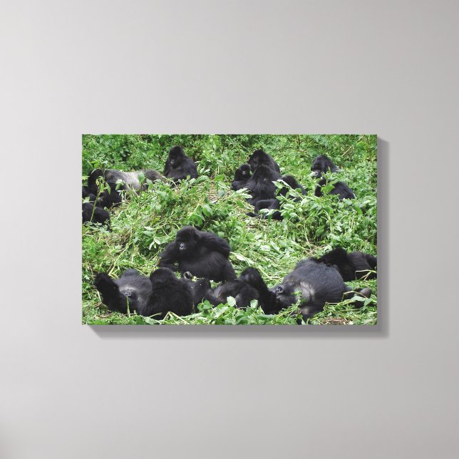 Mountain gorilla group canvas print (Front)