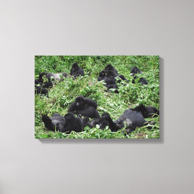 Mountain gorilla group canvas print (Front)