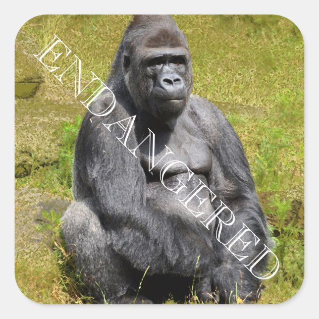 Mountain Gorilla Sticker (Front)