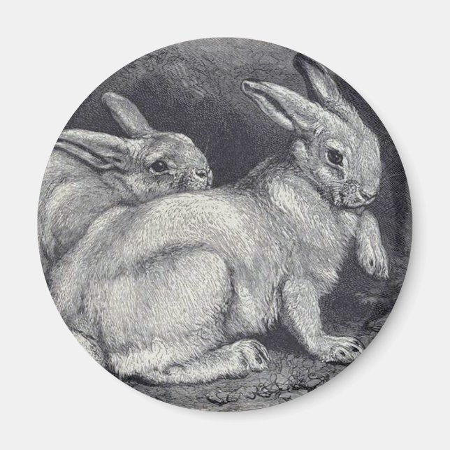 Mountain Hares Magnet (Front)