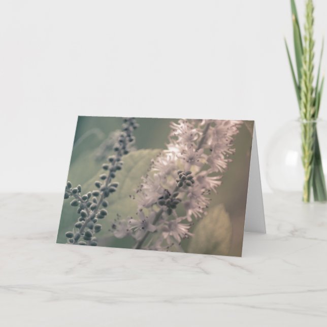 Mountain Holly Greeting Card (Front)