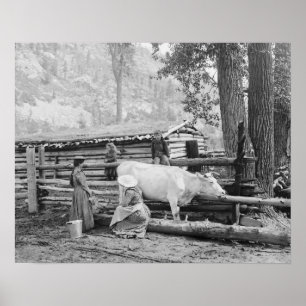 Mountain Homestead, 1906. Vintage Photo Poster