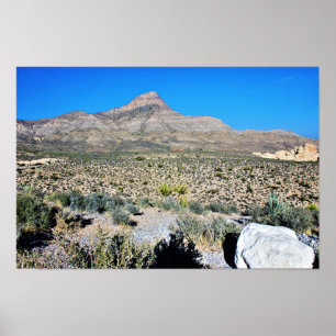 Mountain in Nevada Desert Poster