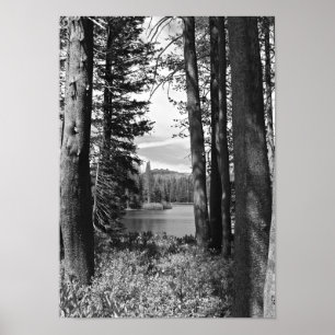 Mountain Lake, Forest, Black and White (portrait) Poster