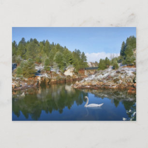 Mountain Lake, Swan, Réflexions Carte postale