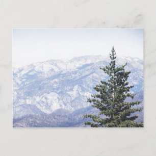 Mountain Landscape with Pine Postcard