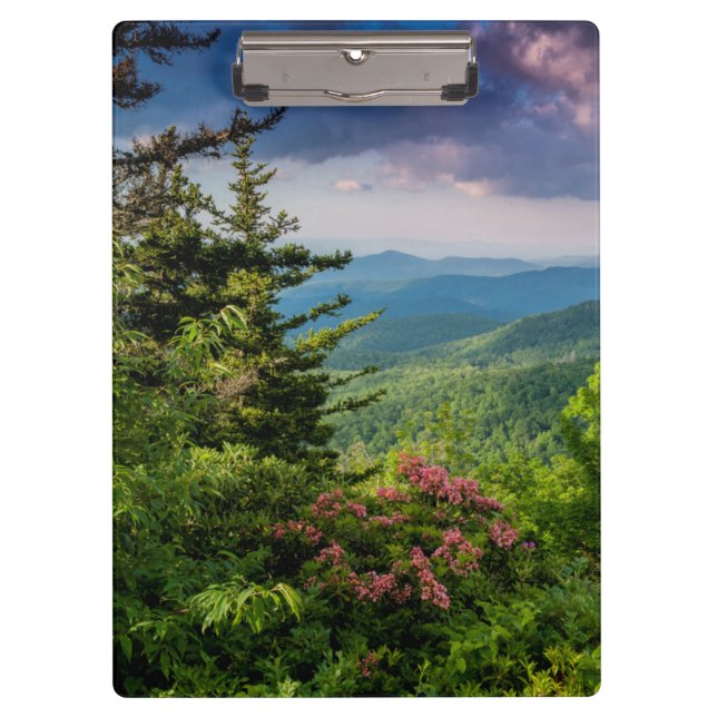 Mountain Laurel at Sunrise Clipboard (Front)