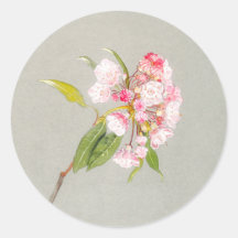 Mountain Laurel Blossom Sticker