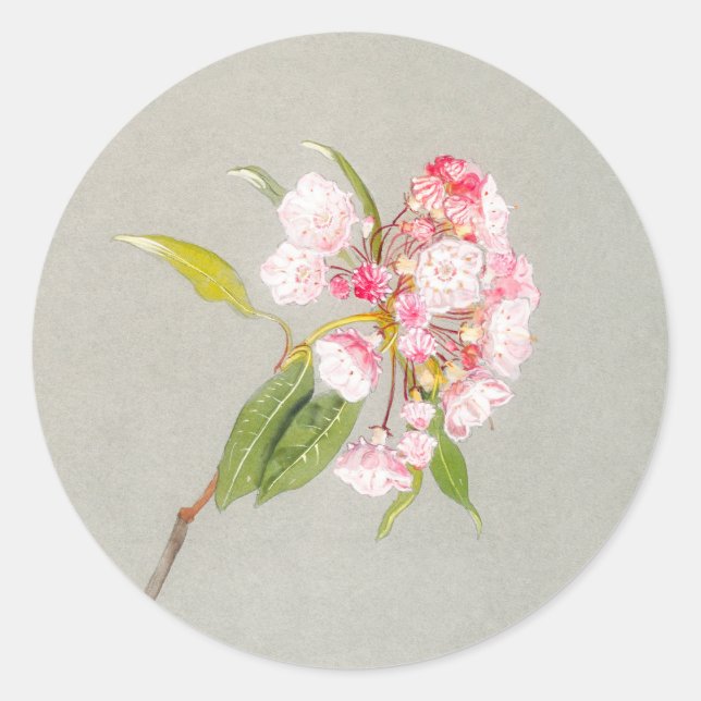 Mountain Laurel Blossom Sticker (Front)