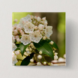 Mountain Laurel in bloom 2 Inch Square Button