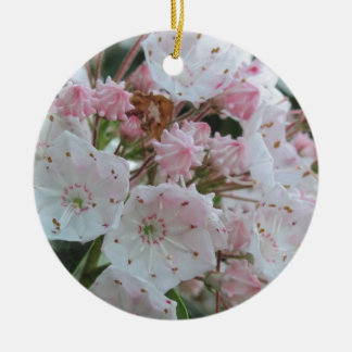 Mountain Laurel Products Ceramic Ornament