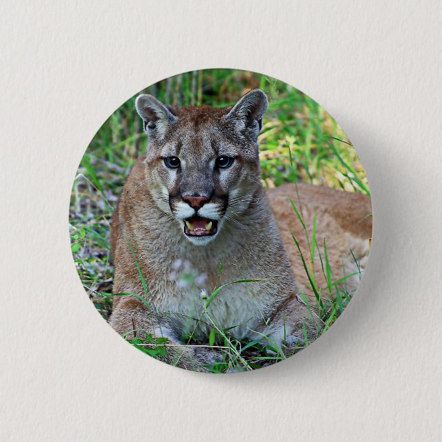 Mountain Lion Complaining 2 Inch Round Button (Front)