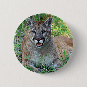 Mountain Lion Complaining 2 Inch Round Button