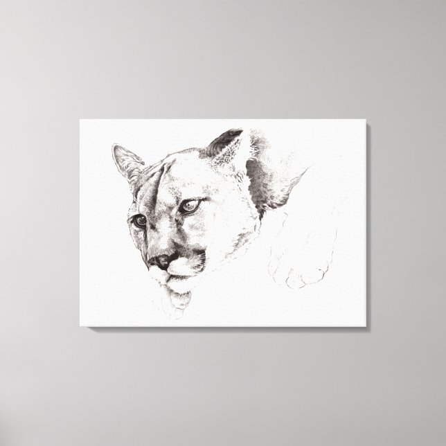 Mountain Lion Drawing Stretched Canvas Print (Front)