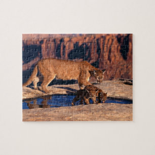 Mountain Lion Game Puzzle