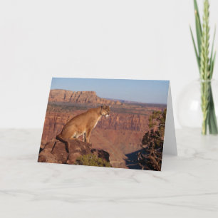 Mountain Lion Greeting Card