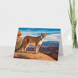 Mountain Lion Greeting Card