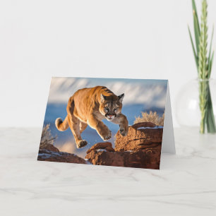 Mountain Lion Greeting Card