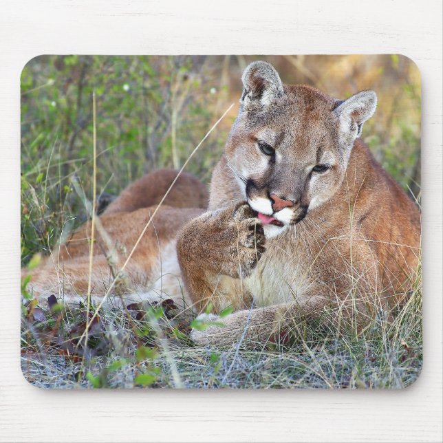 Mountain Lion - Hmmm Mouse Pad (Front)