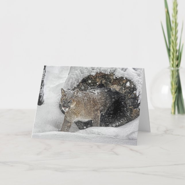 Mountain Lion Holiday Card (Front)