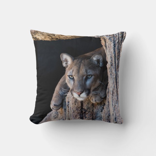 Mountain Lion in Cave Throw Pillow (Front)