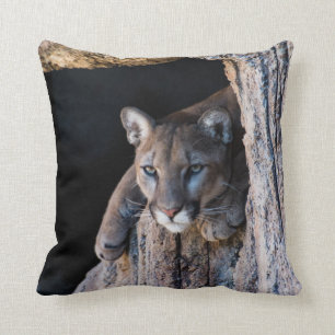 Mountain Lion in Cave Throw Pillow