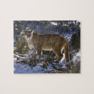 Mountain Lion Jigsaw Puzzle