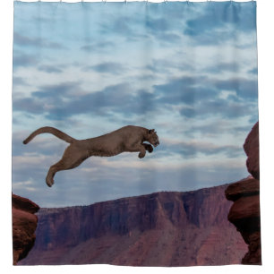 Mountain Lion Jumping Morning Skyjump,lion,animal,