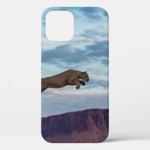Mountain Lion Jumping Morning Skyjump,lion,animal, iPhone 12 Case
