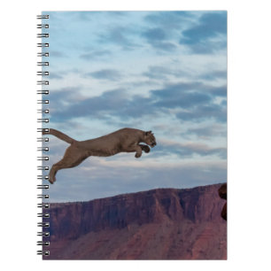 Mountain Lion Jumping Morning Skyjump,lion,animal, Notebook