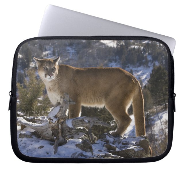 Mountain Lion Laptop Sleeve (Front)