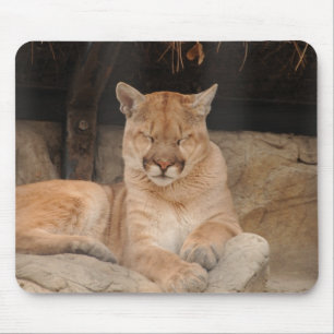 Mountain Lion Mouse Pad