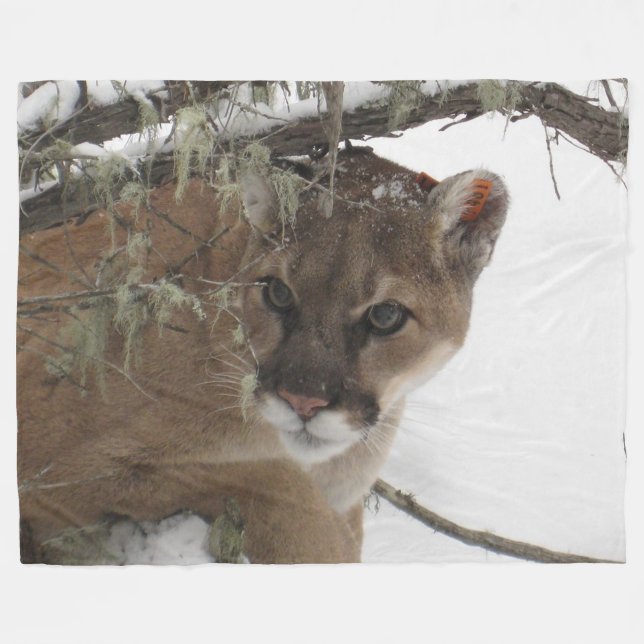 Mountain Lion on Fleece Blanket (Front (Horizontal))