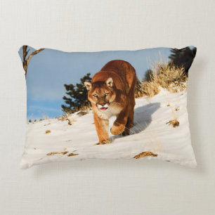 Mountain Lion on snowy hill Accent Pillow